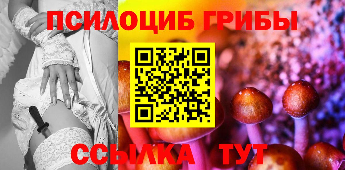 Ейск  Псилоцибиновые грибы Psilocybe  Вход с VPN 